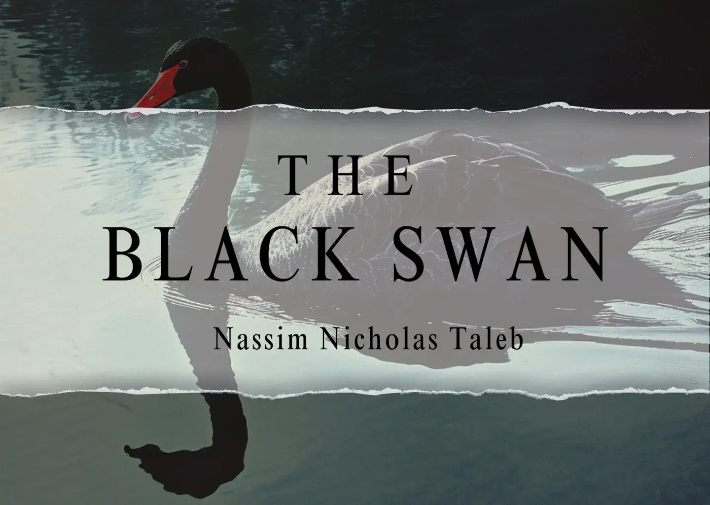 The Black Swan